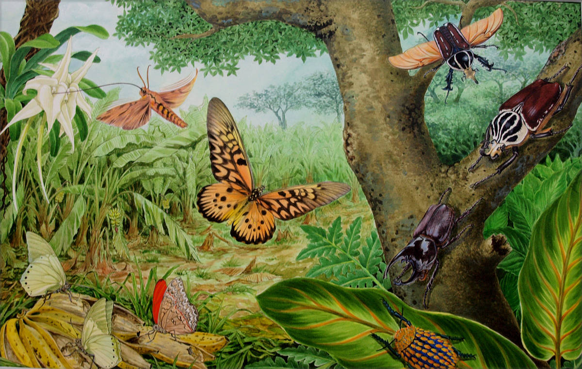 絵画】「アフリカの昆虫」 リアルイラストレーション 真作
