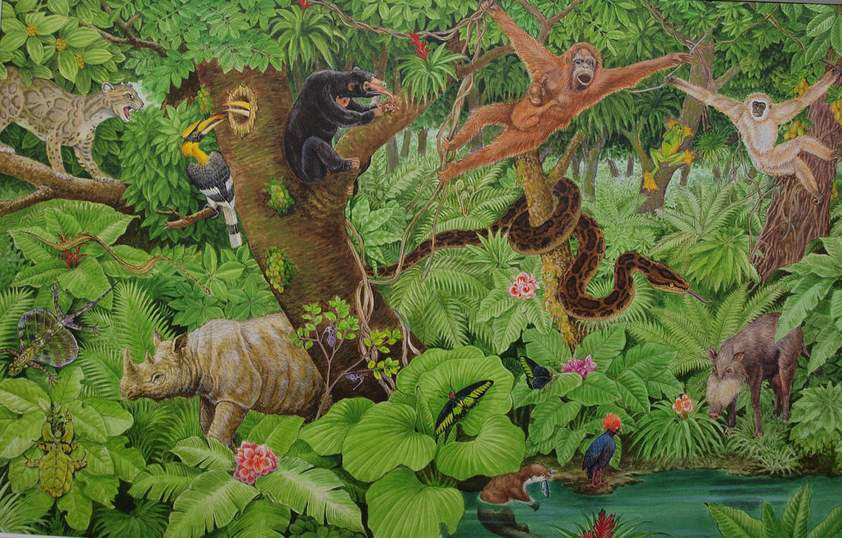 素晴らしい価格 絵画-【絵画】「熱帯アジアの生き物」 細密画 真作 ...
