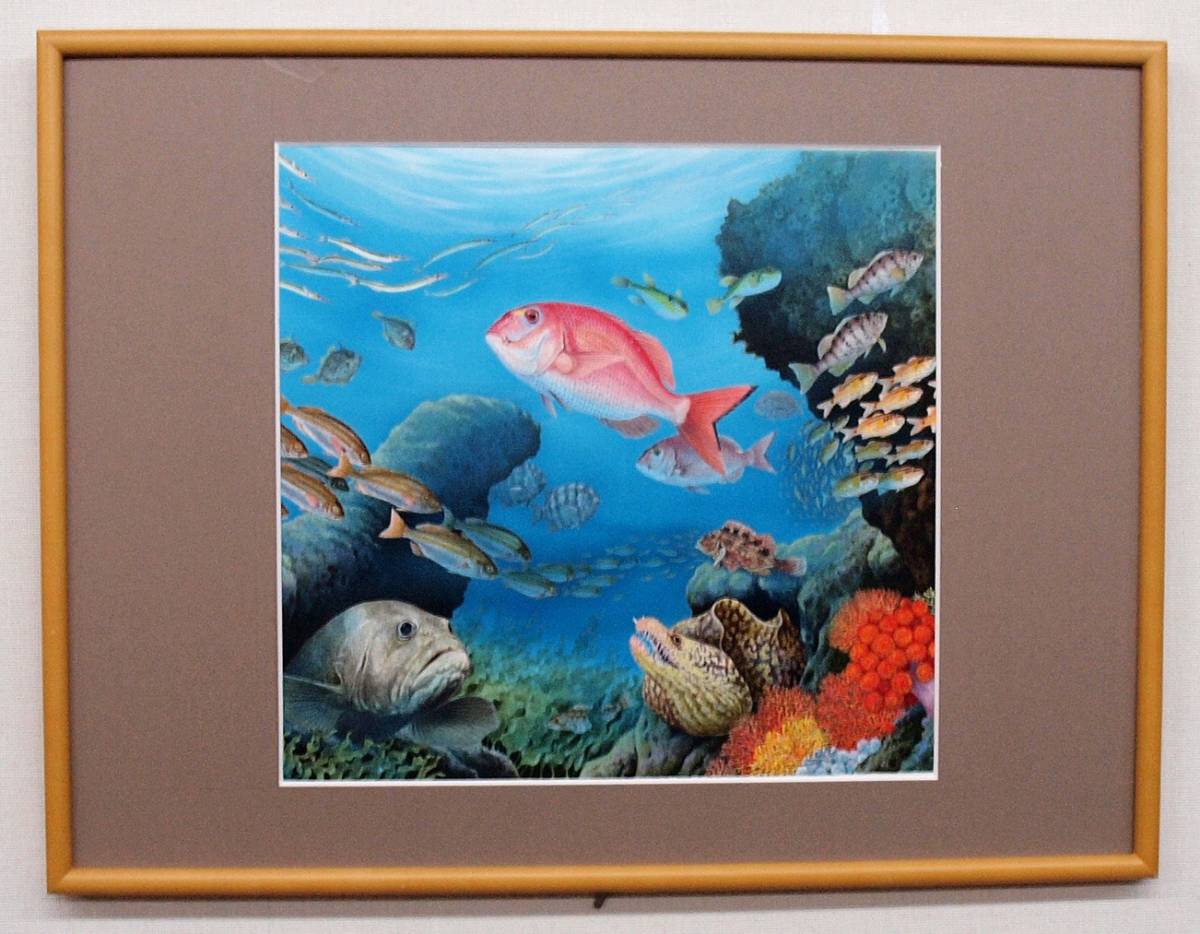 絵画】「浅い海の生き物」 リアルイラストレーション 真作 www.mj