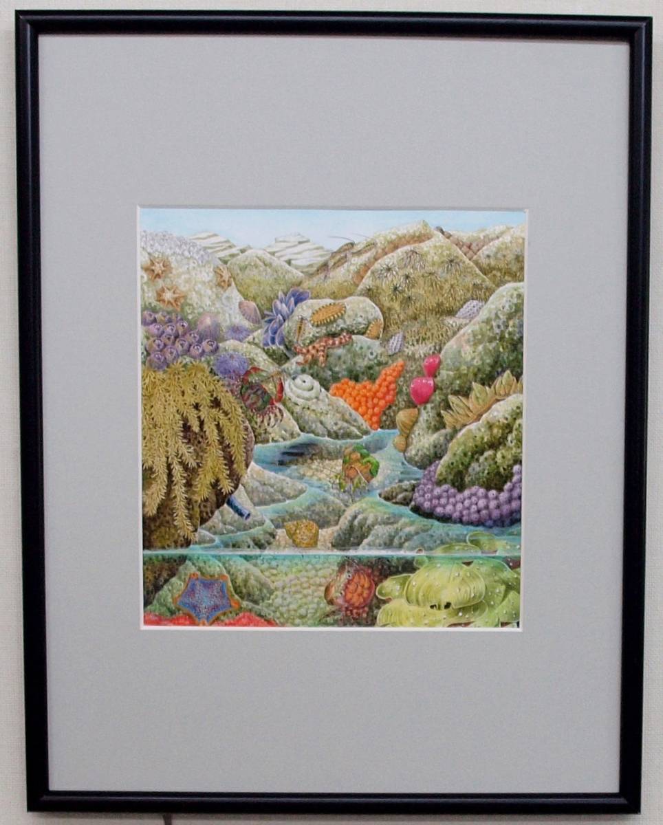 出産祝い 【絵画】「干潟~潮だまりの生き物」 水彩画 真作 - 絵画 玄関先渡し 【絵画】ネイチャーアート「潮だまりの生き物たち」原画 絵画/タペストリ