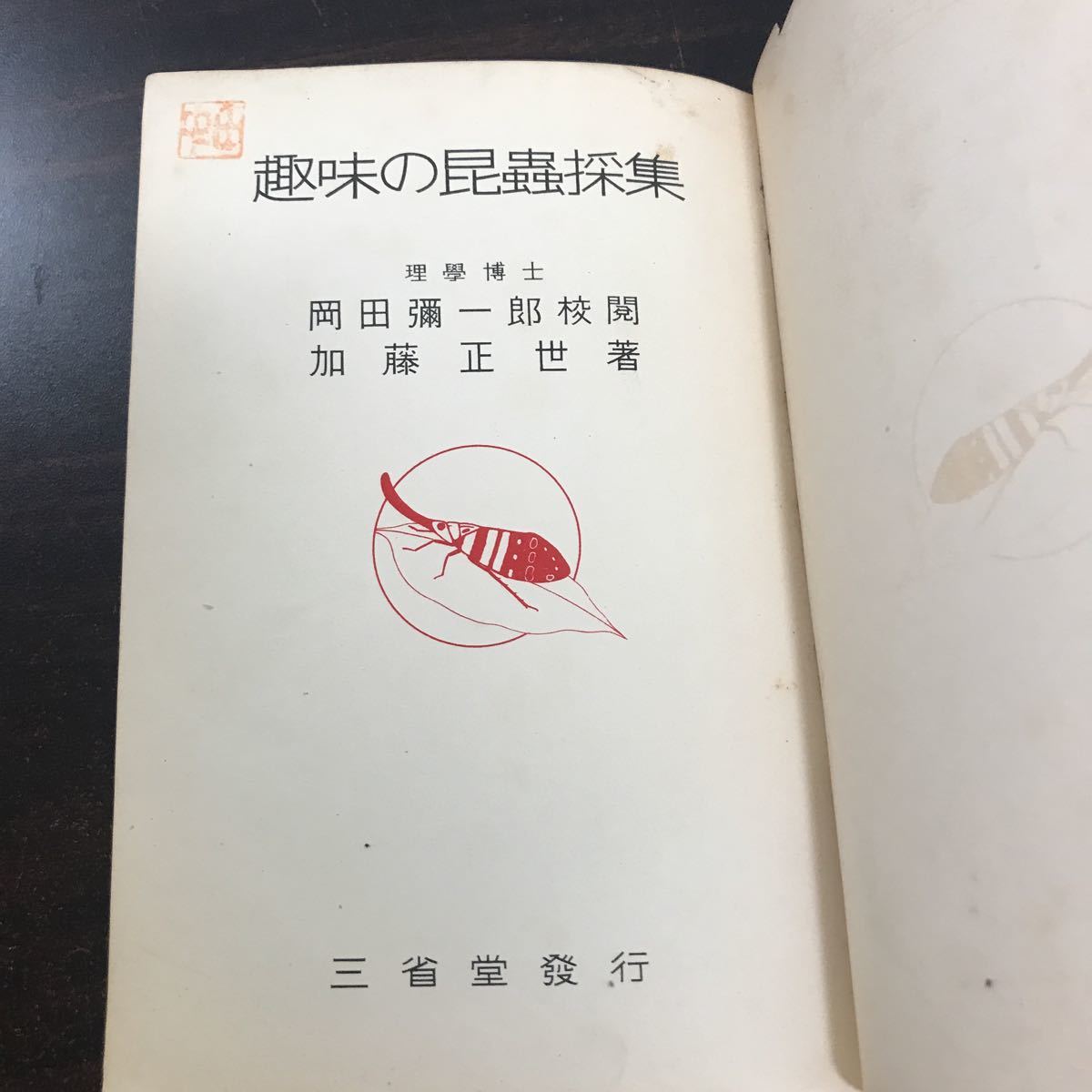 ra01▲趣味の昆蟲採集　三省堂　昭和5年【岡田、加藤】昭和レトロ 古書 昆蟲 希少 アンティーク_画像6