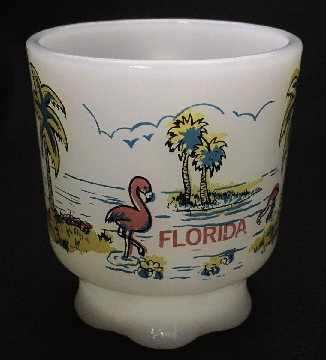 ファイヤーキングFire King ” フロリダ FLORIDA ” コンコードマグ Concord Mug