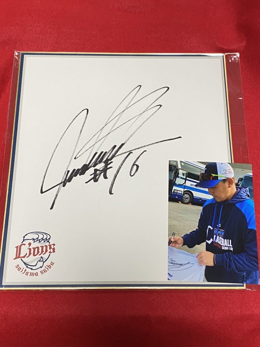  Saitama Seibu Lions 16 pine slope large . autograph autograph lamp . Logo square fancy cardboard ( life photograph attaching )