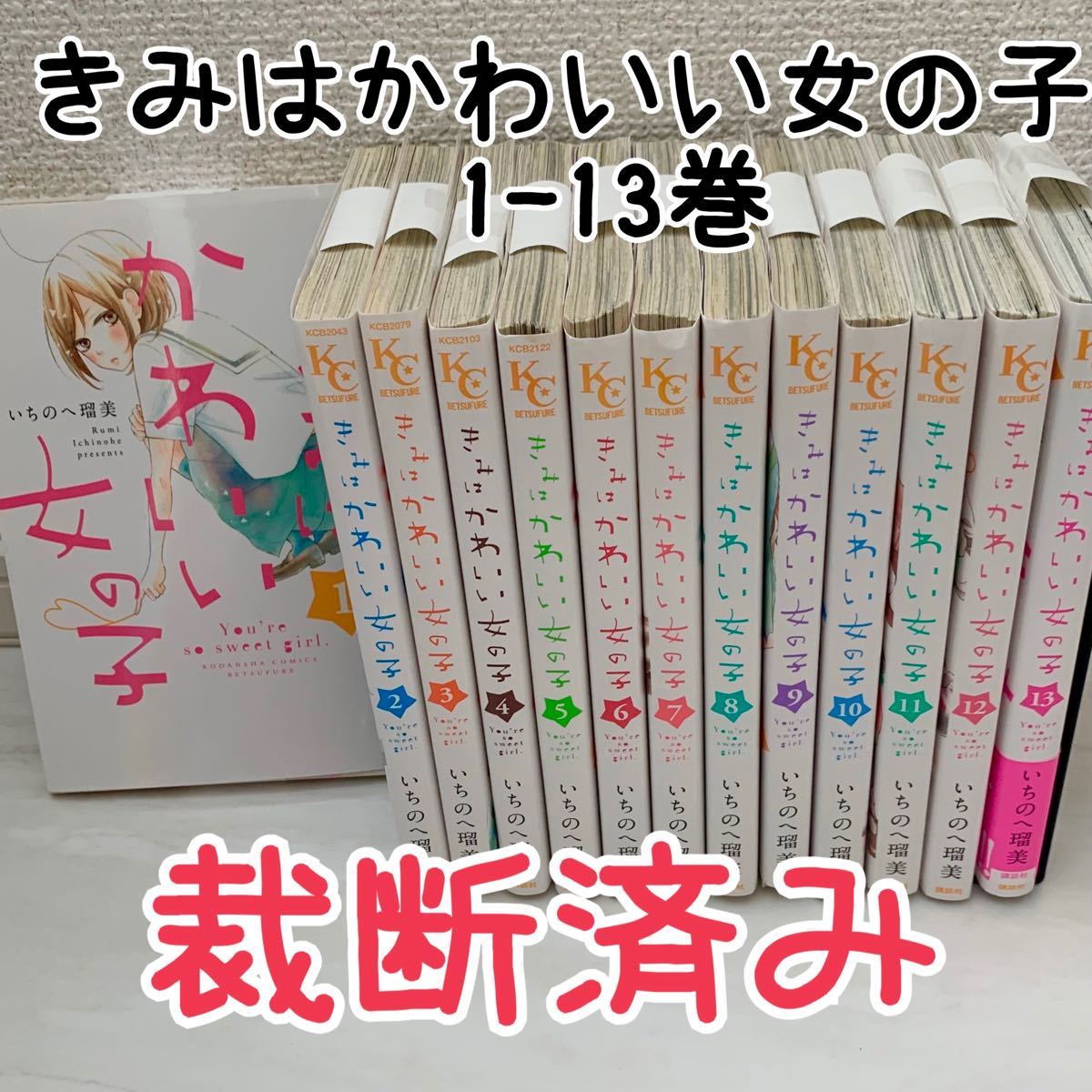 送料込み　きみはかわいい女の子  全13巻セット いちのへ 瑠美