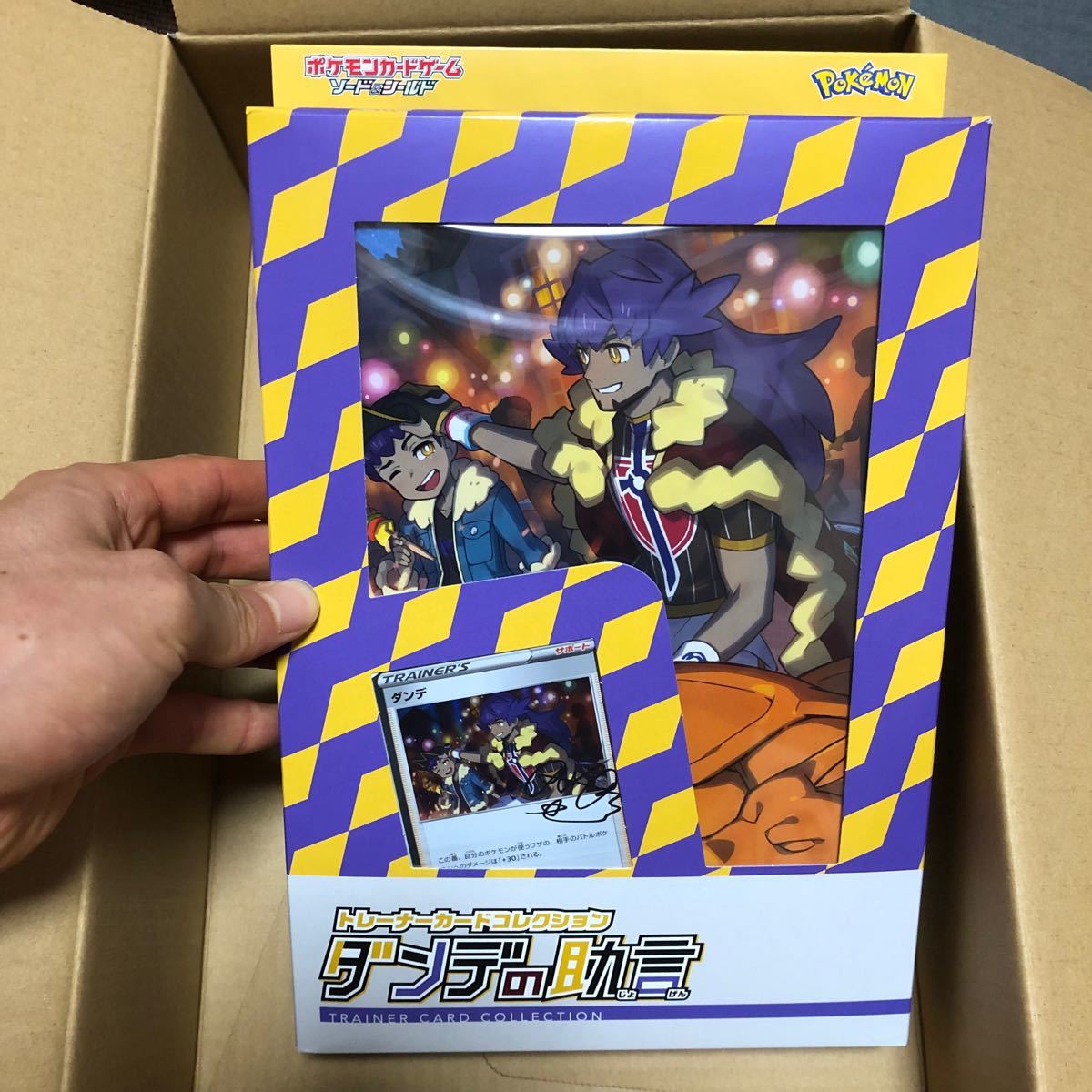 美品 新品 未開封 ルリナの休息 キバナの不屈 ダンデの助言