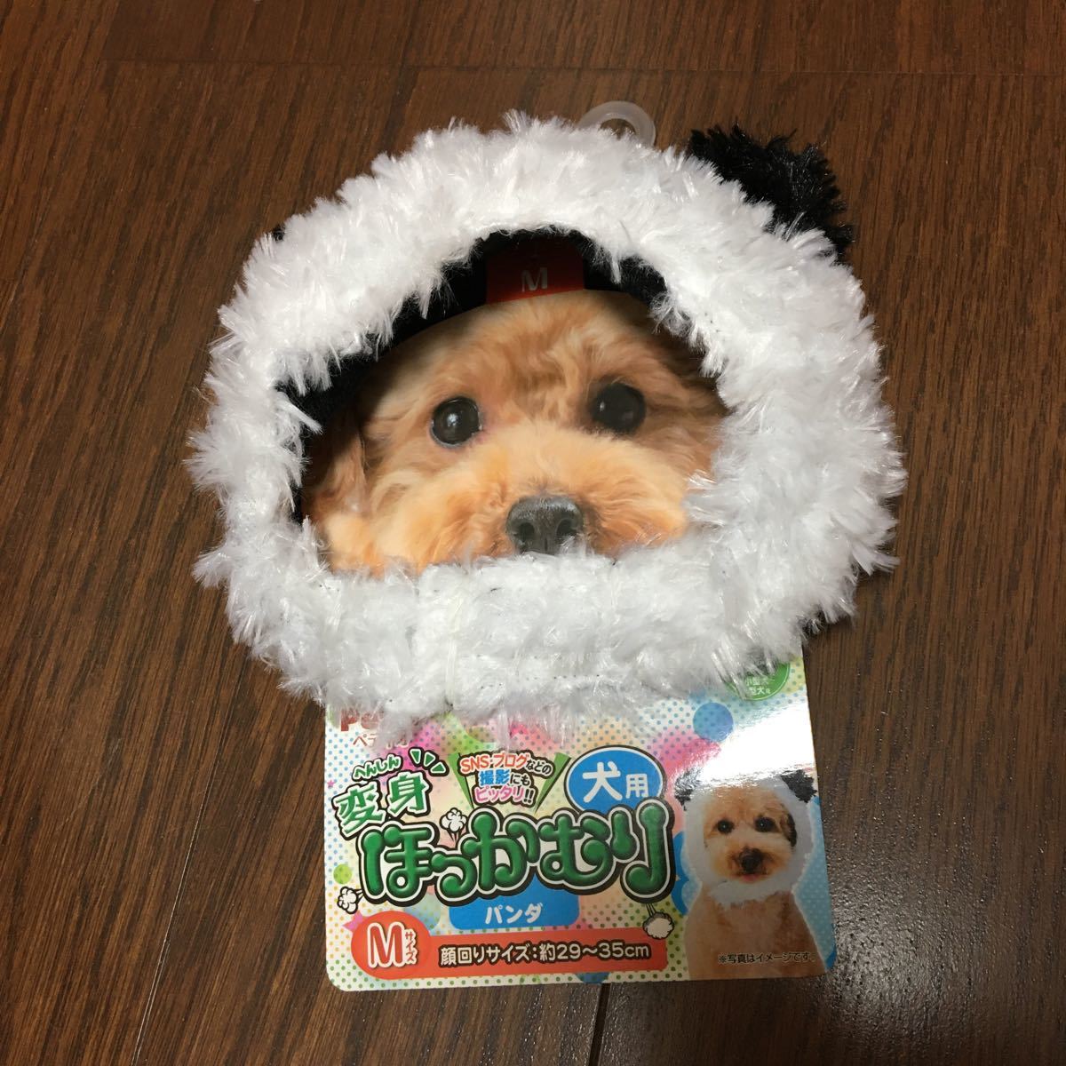 ペット用品 変身グッズ 犬猫用 パンダ 着せ替え 新品未使用 おまとめ セット売り