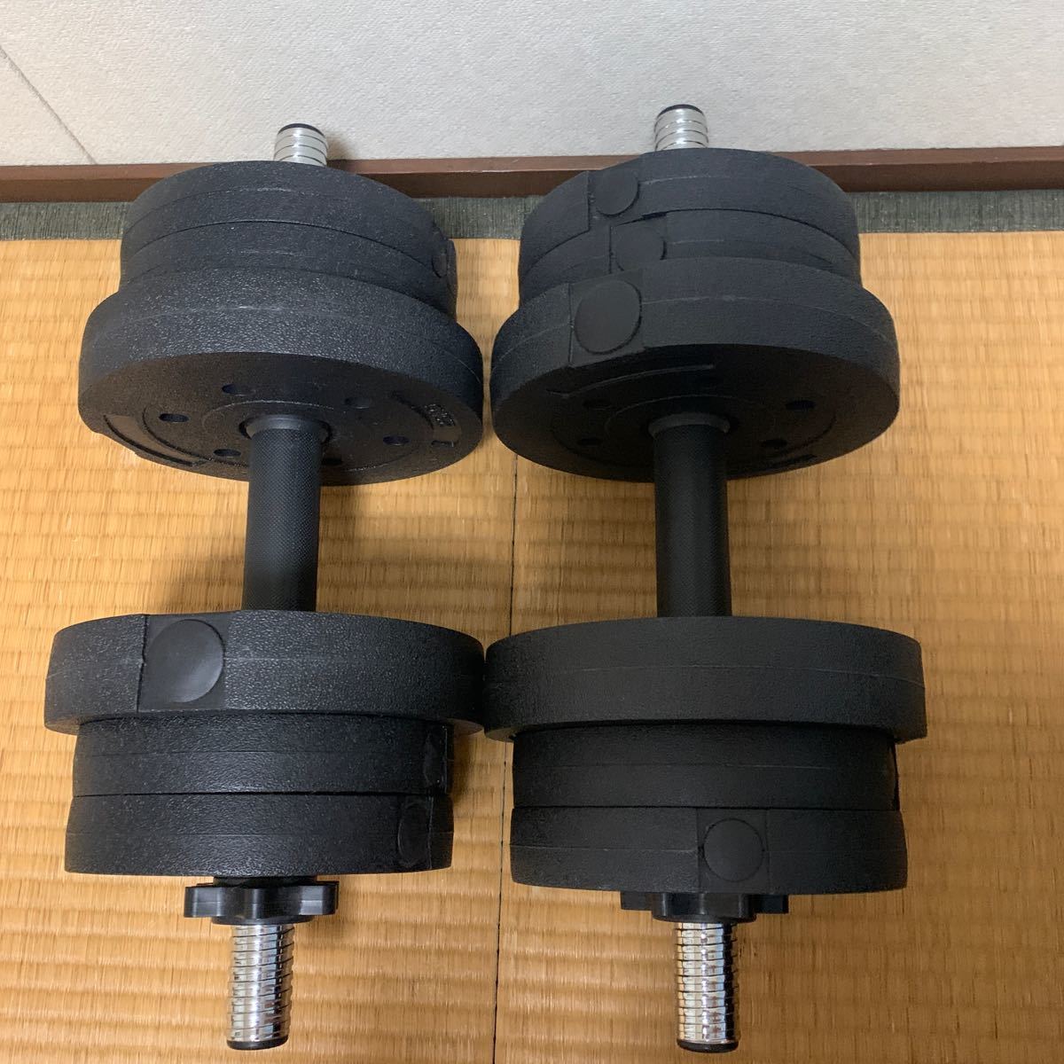 La-VIE (ラヴィ) ダンベルセット メガダンベル10kg ×2個