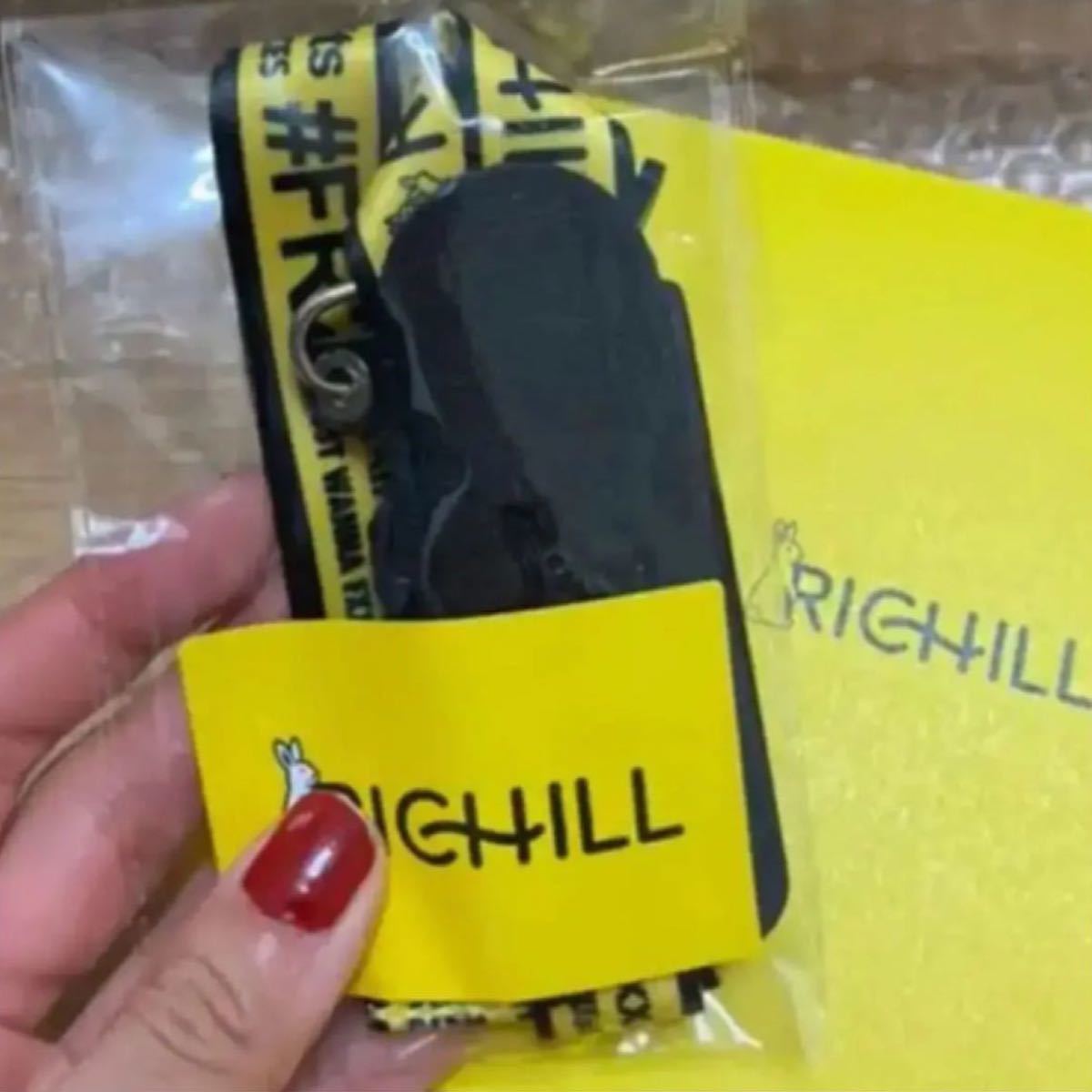 Richill リッチル　fr2 ネックストラップ　ケース　FR2