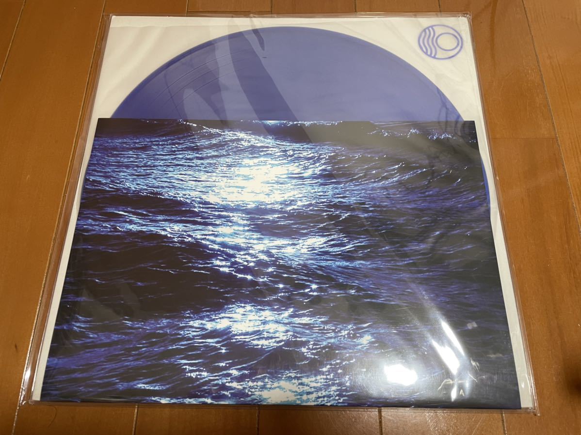 Seahawks / Tender Abyss LP レコード_画像1