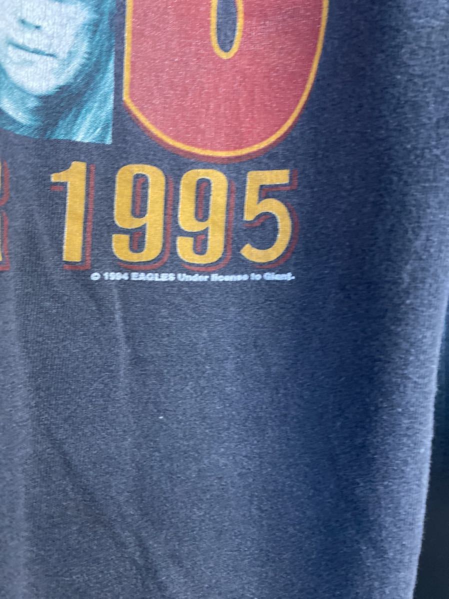 90'S 当時物 EAGLES ホテルカリフォルニアT ヴィンテージ サイズXL