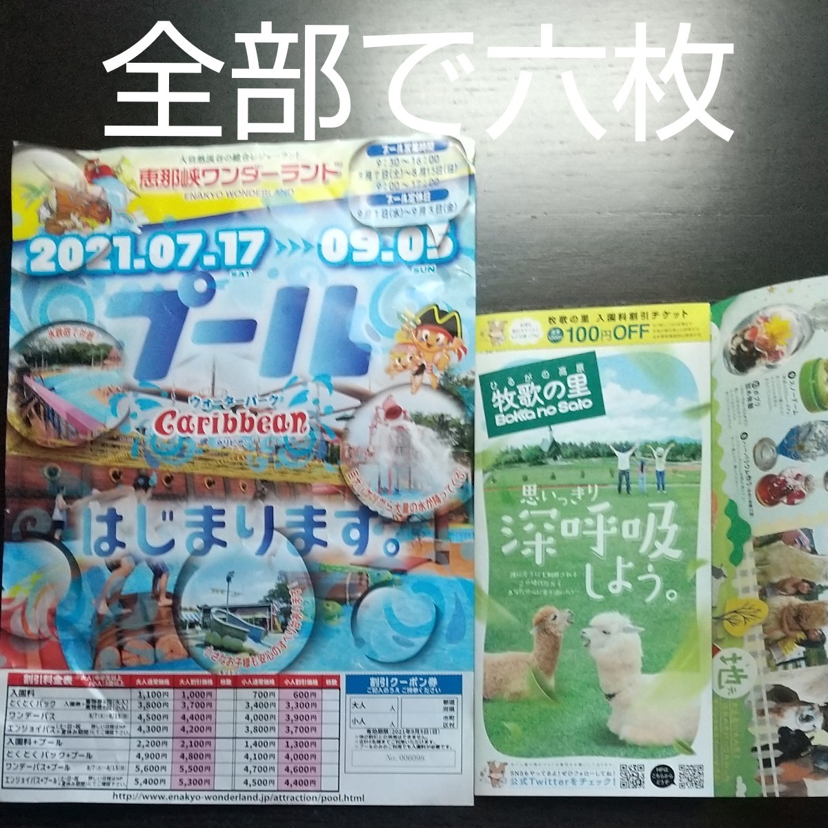 Paypayフリマ 牧歌の里 入場割引と 恵那峡ワンダーランド入場料割引クーポン遊園地 Paypayフリマ 牧歌の里 入場割引と 恵那峡ワンダーランド入場料割引クーポン遊園地