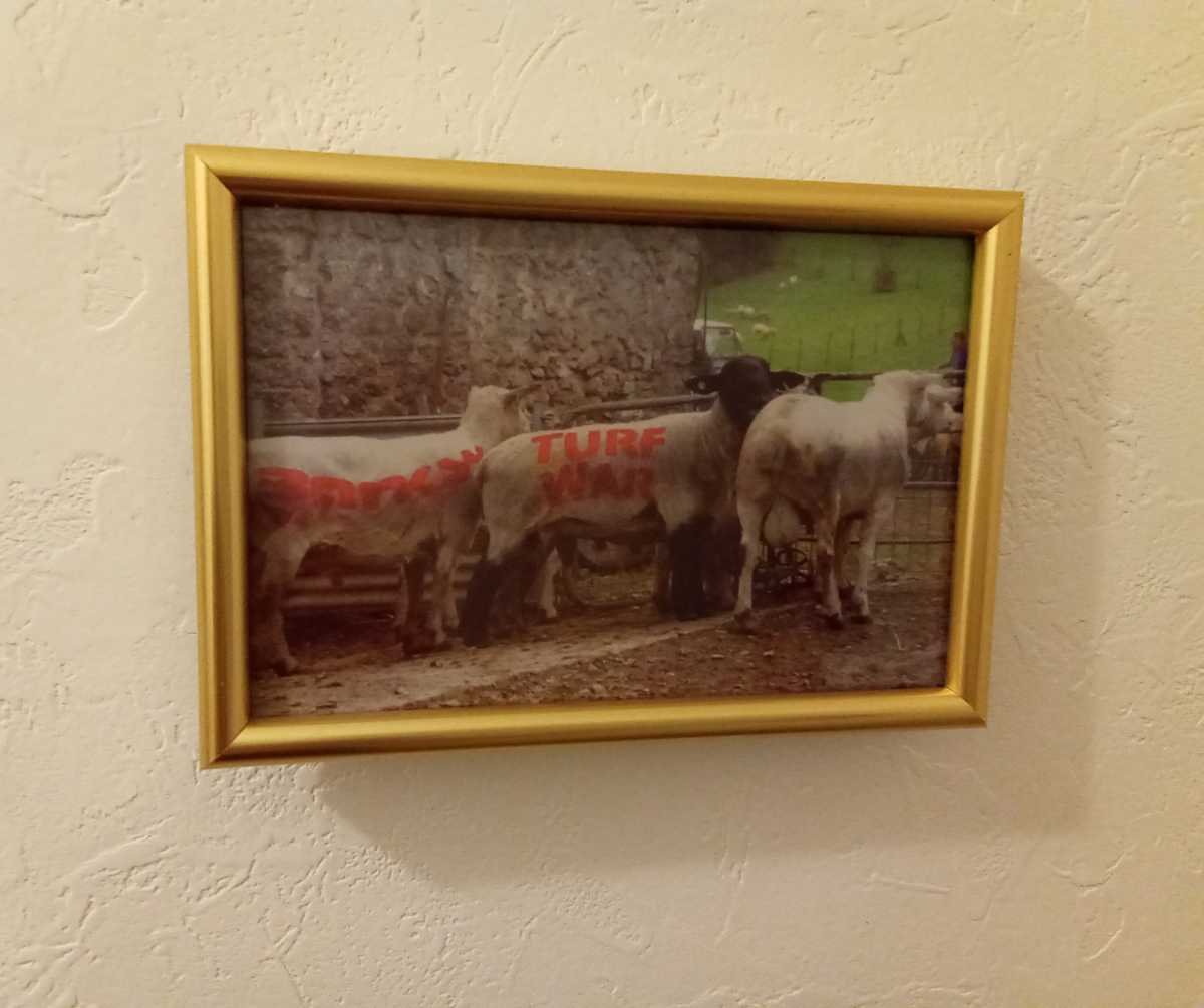 海外相場は10万円以上!Banksy(バンクシー) Turf War 2003年 Wild ...
