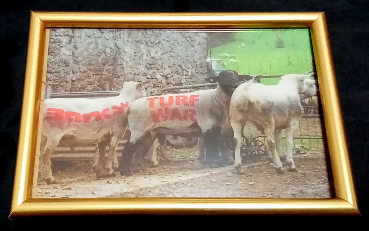 海外相場は10万円以上!Banksy(バンクシー) Turf War 2003年 Wild ...