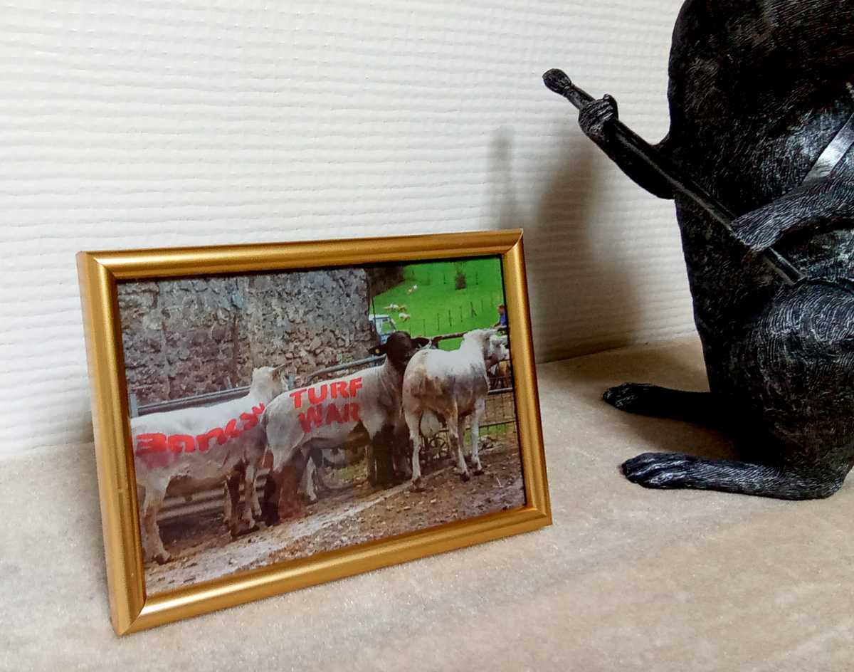 海外相場は10万円以上!Banksy(バンクシー) Turf War 2003年 Wild ...