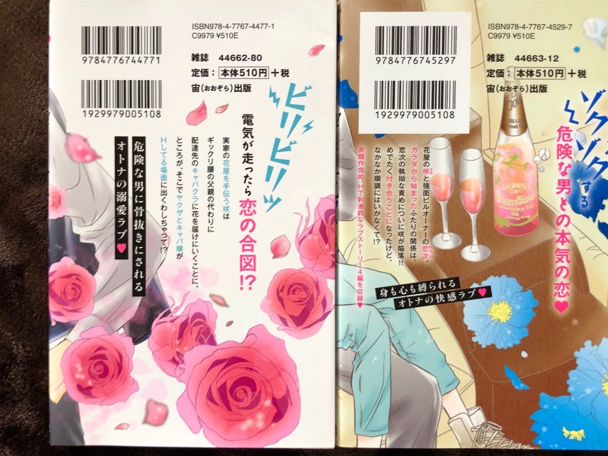 Paypayフリマ ヤクザと花びら1 4巻 完結 阿部摘花 Paypayフリマ ヤクザと花びら1 4巻 完結 阿部摘花