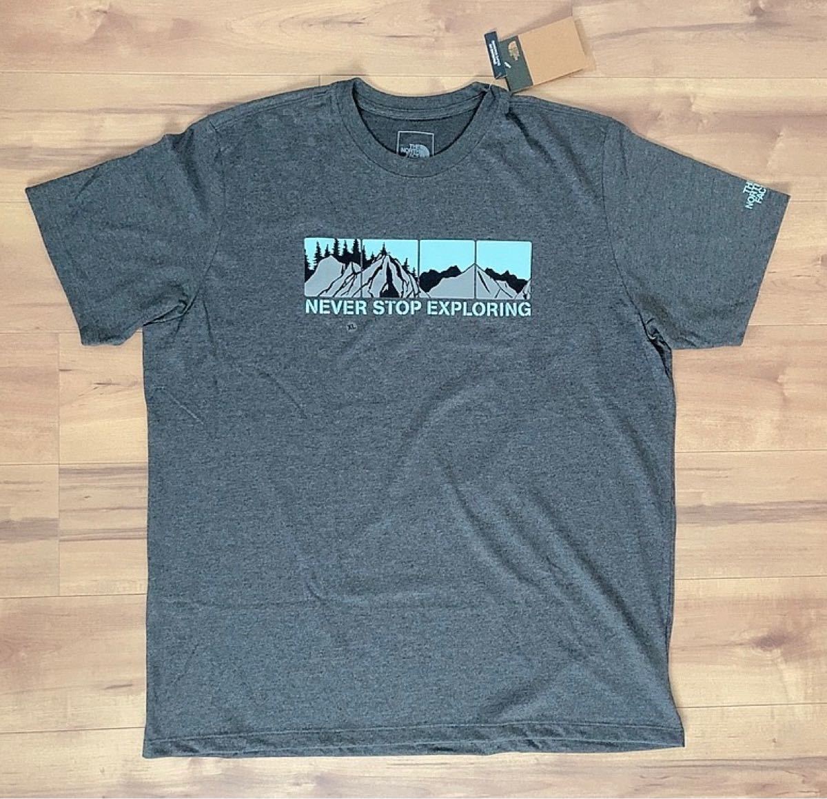 THE NORTH FACE ザ ノースフェイス Tシャツ アメリカ限定