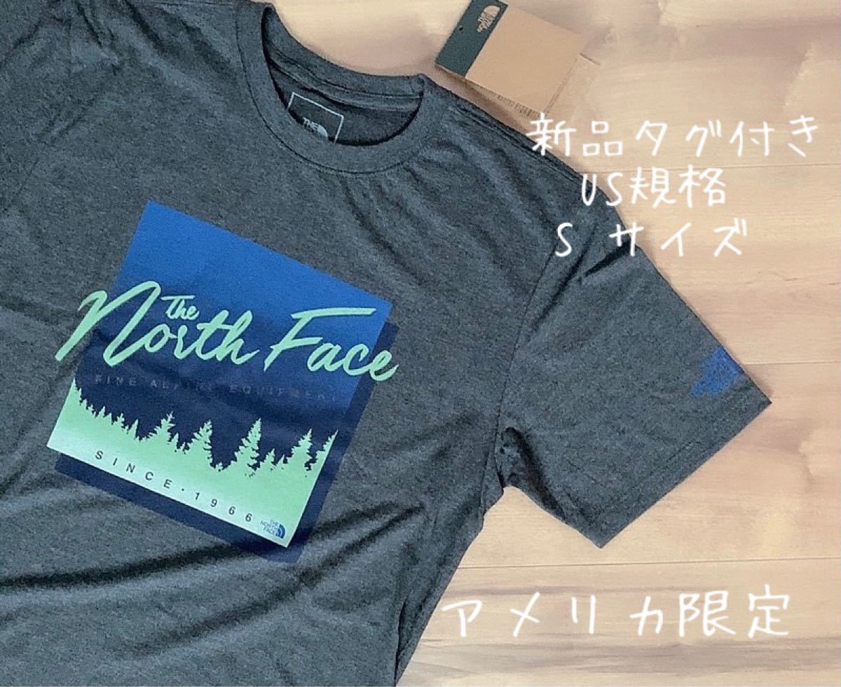 THE NORTH FACE ザ ノースフェイス Tシャツ アメリカ限定