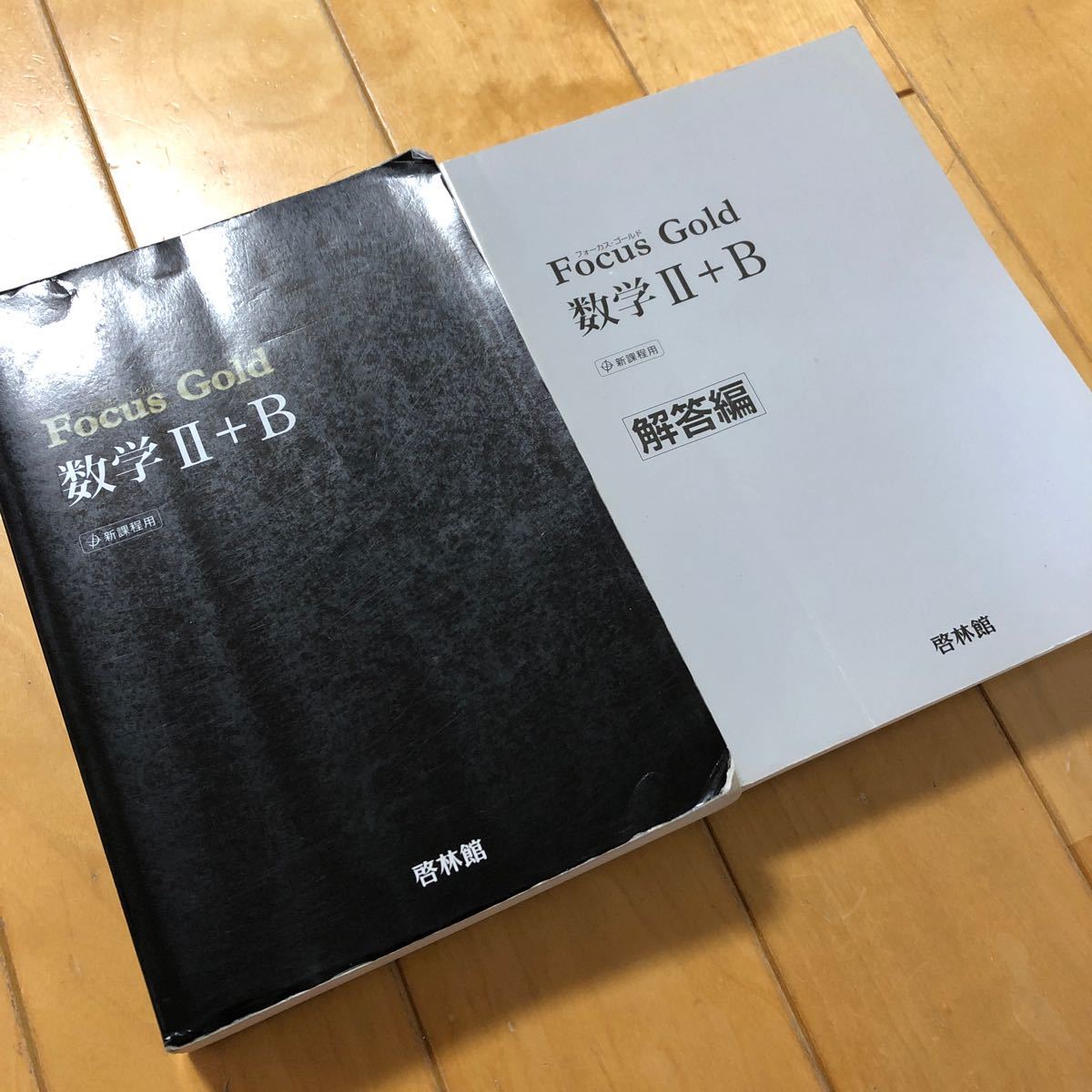 解答編付き Focus Gold 数学II+B (2+B) 新課程用 啓林館 フォーカスゴールド　大学受験　大学入試　送料無料