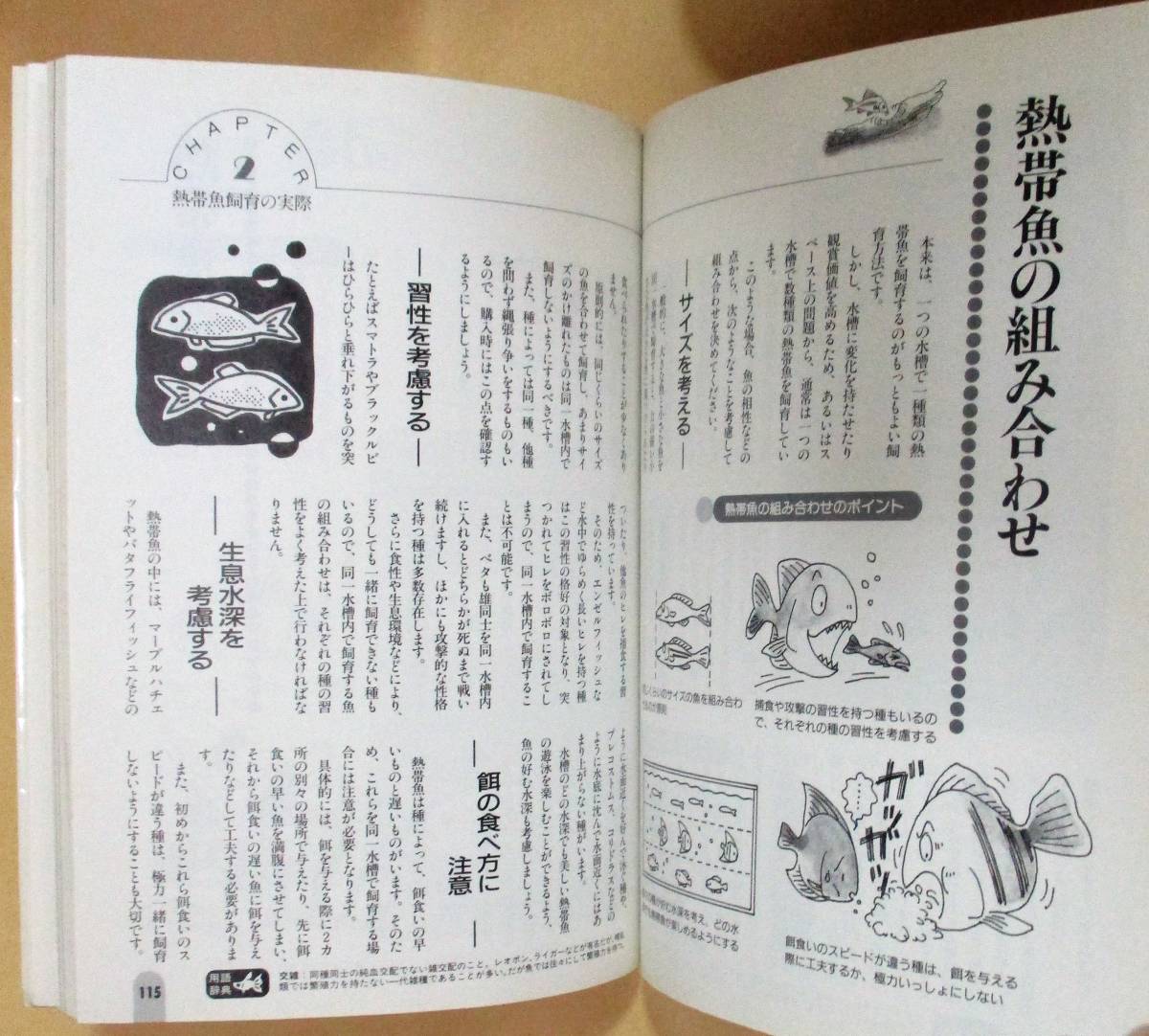 Paypayフリマ No1362 熱帯魚 上手な飼い方のコツ Paypayフリマ No1362 熱帯魚 上手な飼い方のコツ