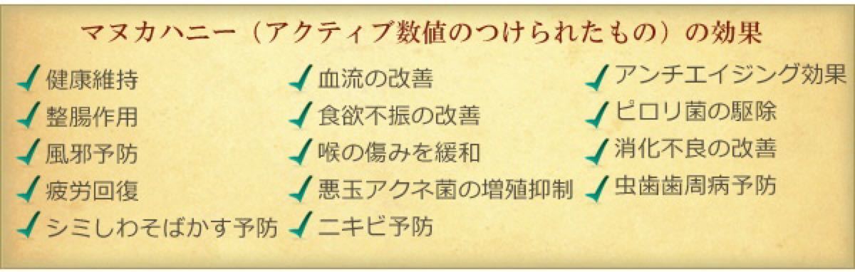 マヌカハニージンジャー　30袋入り×3点セット　生活の木おいしい ハーブティー