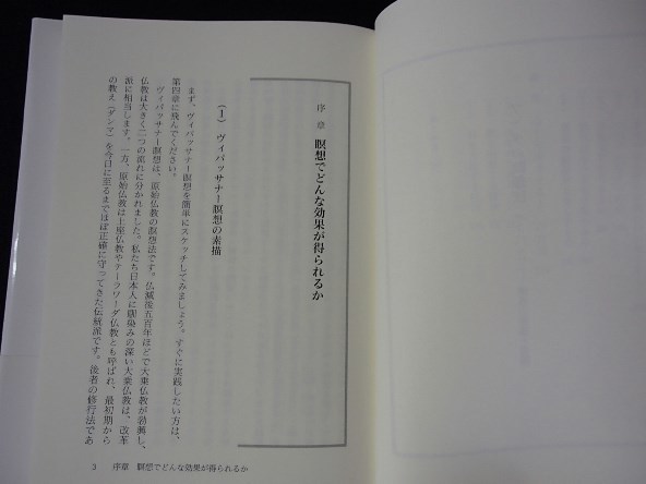 ◆「ブッダの瞑想法　ーヴィパッサナー瞑想の理論と実践」◆地橋秀雄:著◆春秋社:刊◆_画像7