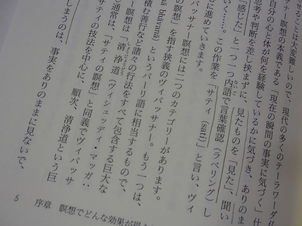 ◆「ブッダの瞑想法　ーヴィパッサナー瞑想の理論と実践」◆地橋秀雄:著◆春秋社:刊◆_画像8