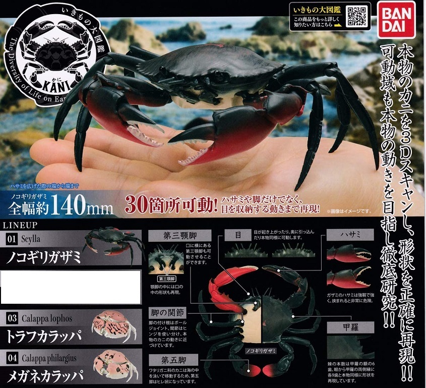 いきもの大図鑑 かに 3種セット ノコギリガザミ トラフカラッパ メガネ バンダイ カニ 蟹 可動フィギュア ガシャポン ガチャ 生き物 売買されたオークション情報 Yahooの商品情報をアーカイブ公開 オークファン Aucfan Com いきもの大図鑑 かに 3種セット ノコギリガザミ トラフカラッパ メガネ バンダイ カニ 蟹 可動フィギュア ガシャポン ガチャ 生き物 売買されたオークション情報 Yahooの商品情報をアーカイブ公開 オークファン Aucfan Com