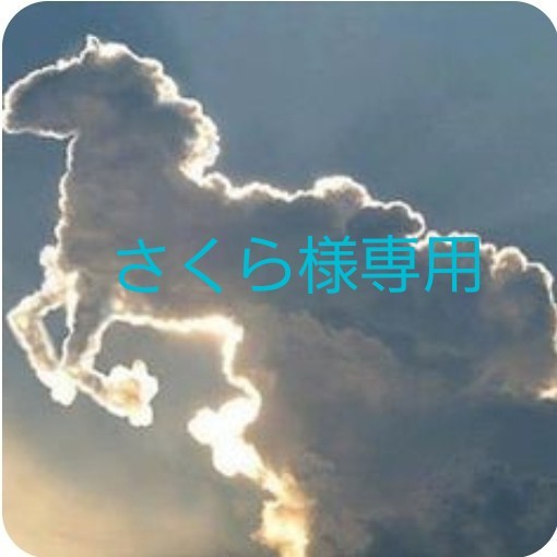 さくら様専用