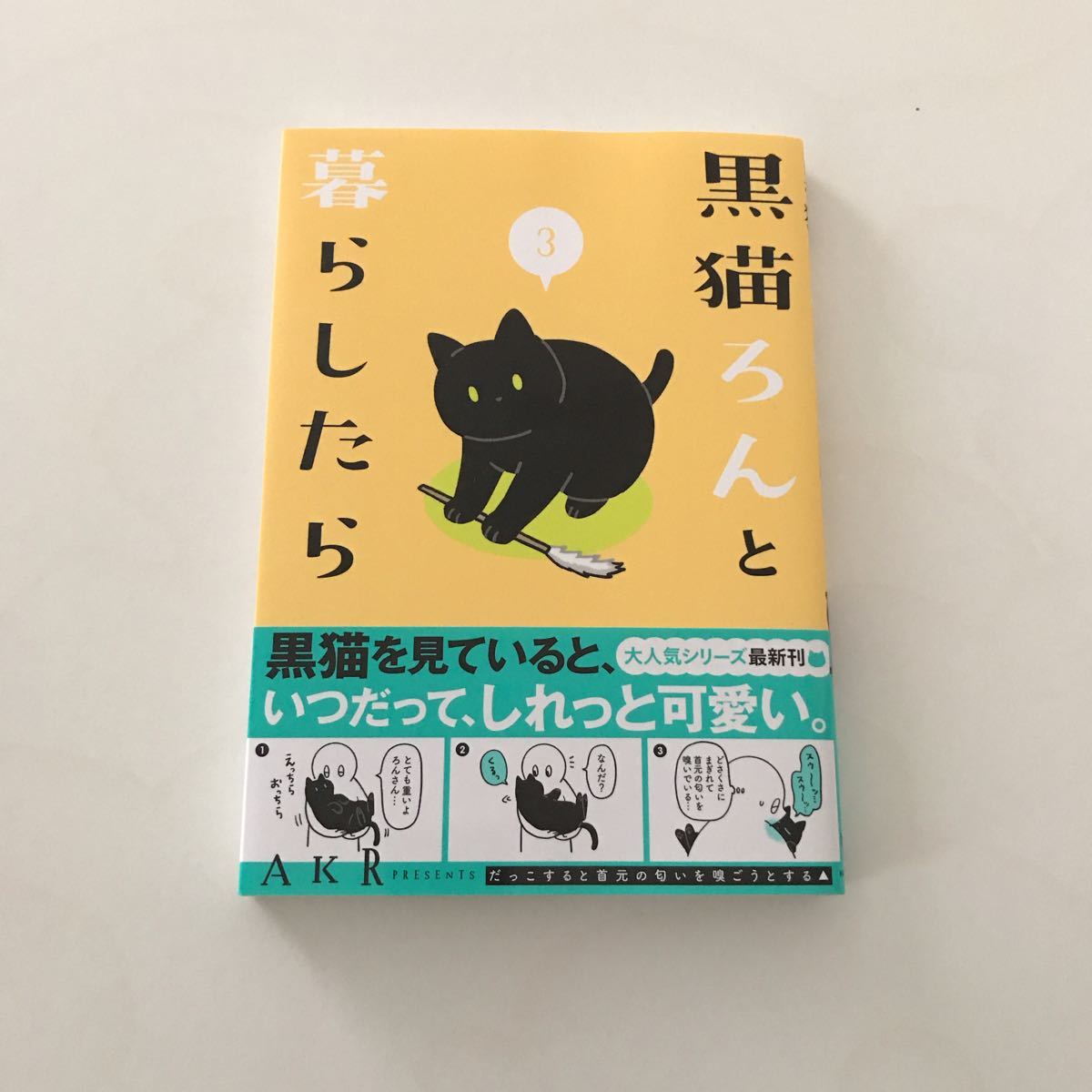 Paypayフリマ 黒猫ろんと暮らしたら 3 Akr Paypayフリマ 黒猫ろんと暮らしたら 3 Akr