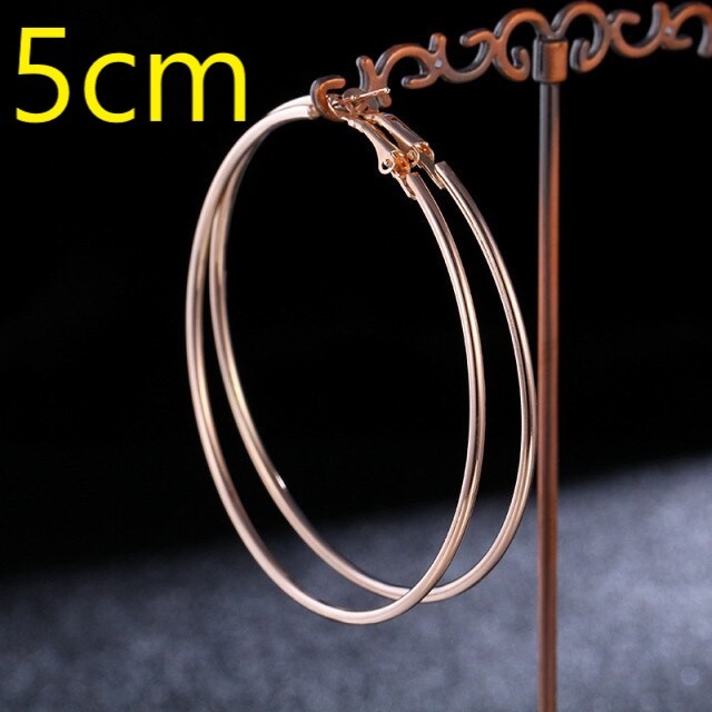  earrings hoop 5cm rose Gold Circle round stainless steel steel .. large hoop woman big sm-z Circle loop #C668-7