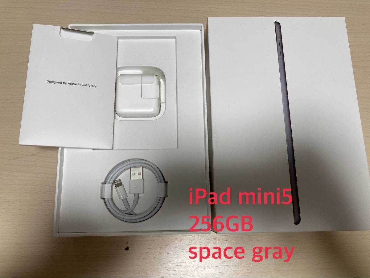 iPad mini Cellular Wi-Fi Apple スペースグレイ 第5世代 256GB