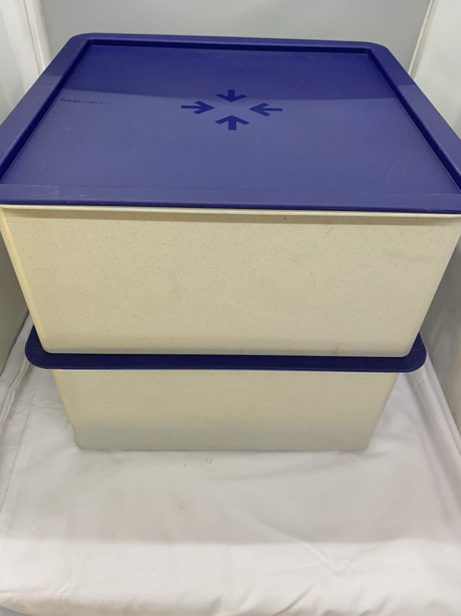 61②● Tupperware タッパーウェア 収納ボックス 衣装ケース 保存容器 二個セット_画像1