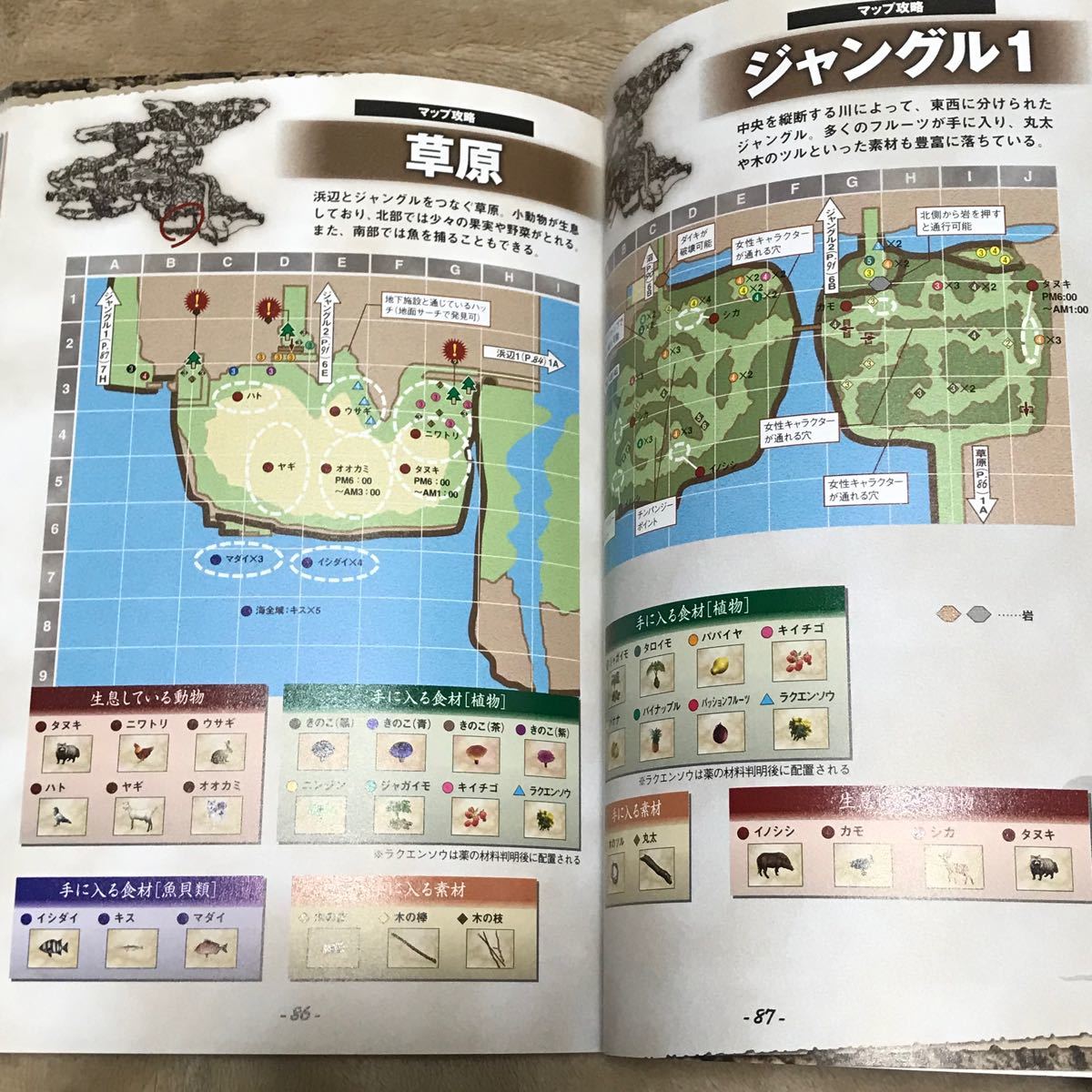DS攻略本 サバイバルキッズ 小さな島の大きな秘密 公式ガイドブック 