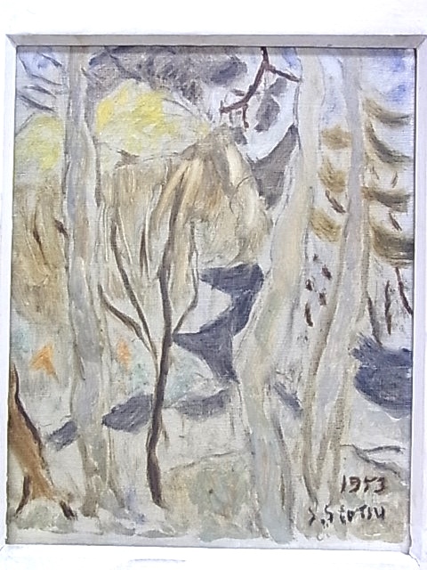 【メーカー直送】 e6262　真作保証　油彩　風景画　塩津誠一　1953年　F3号　額縁 自然、風景画