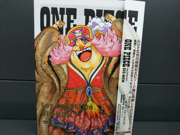 激安買取 銀座 Dvd One Piece Log Collectionbig Mom Tvアニメ第6話 第849話 1年保証 Www Coldwellbankersamara Com