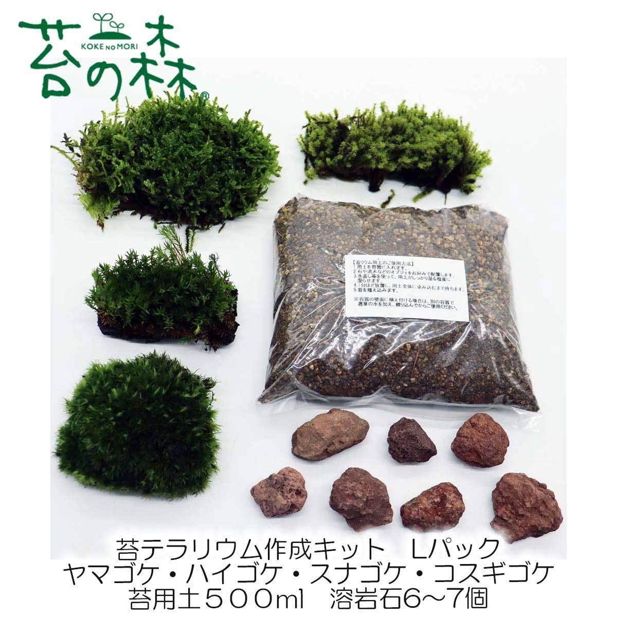 苔の森 4種セット ヤマゴケ ハイゴケ スナゴケ コスギゴケ Lパック と 苔用 土 ソイル 500ml と 溶岩石6 7個 テラリウム 苔リウム用 送 花 園芸 売買されたオークション情報 Yahooの商品情報をアーカイブ公開 オークファン Aucfan Com