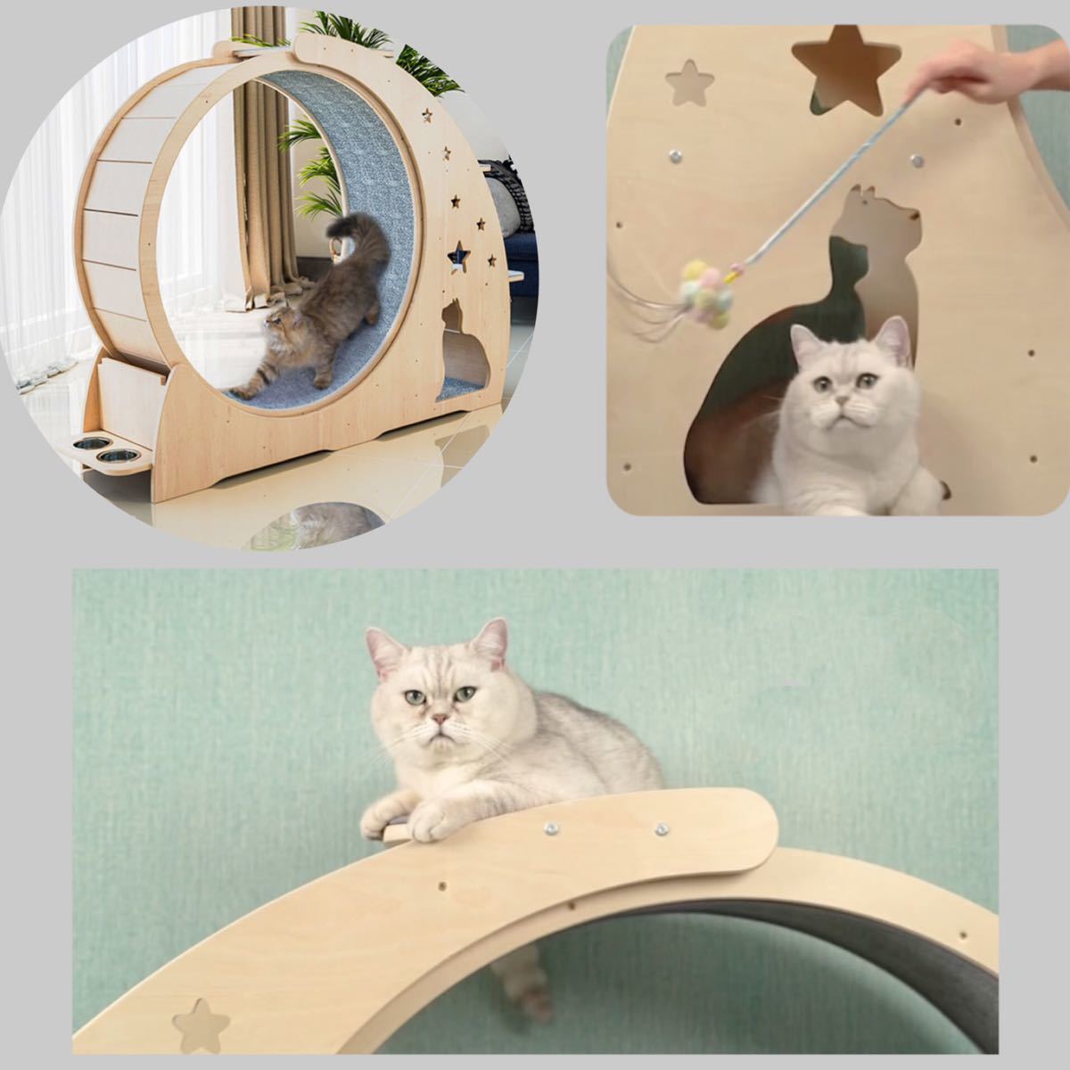 Yahoo!オークション - 新春セール 国内在庫 高品質 キャット Yahoo!オークション - 新春セール 国内在庫 高品質 キャット