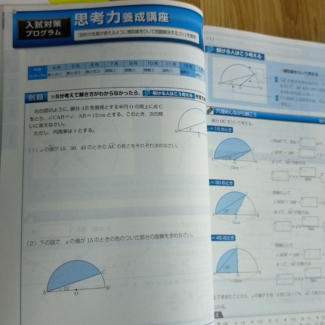 未使用☆進研ゼミ　中２　数学　入試直結記述ドリル　一年分　ハイレベル　チャレンジ　 高校入試　問題集　 高校受験