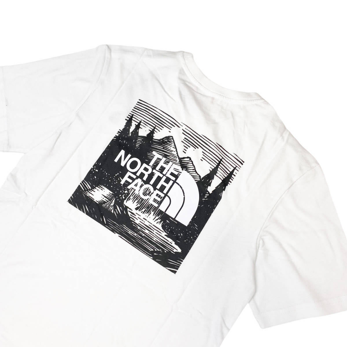 ノースフェイス Tシャツ レッドボックス 半袖 NF0A2ZXE ホワイト 2XLサイズ THE NORTH FACE S/S REDBOX CELEBRATION TEE 新品