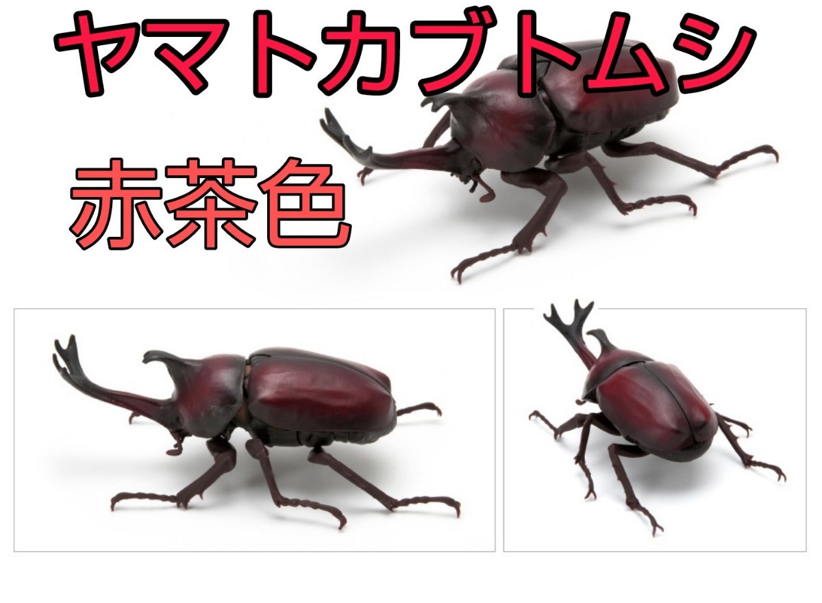 新品】いきもの大図鑑 かぶとむし ヤマトカブトムシ 赤茶色 新品】いきもの大図鑑 かぶとむし ヤマトカブトムシ 赤茶色