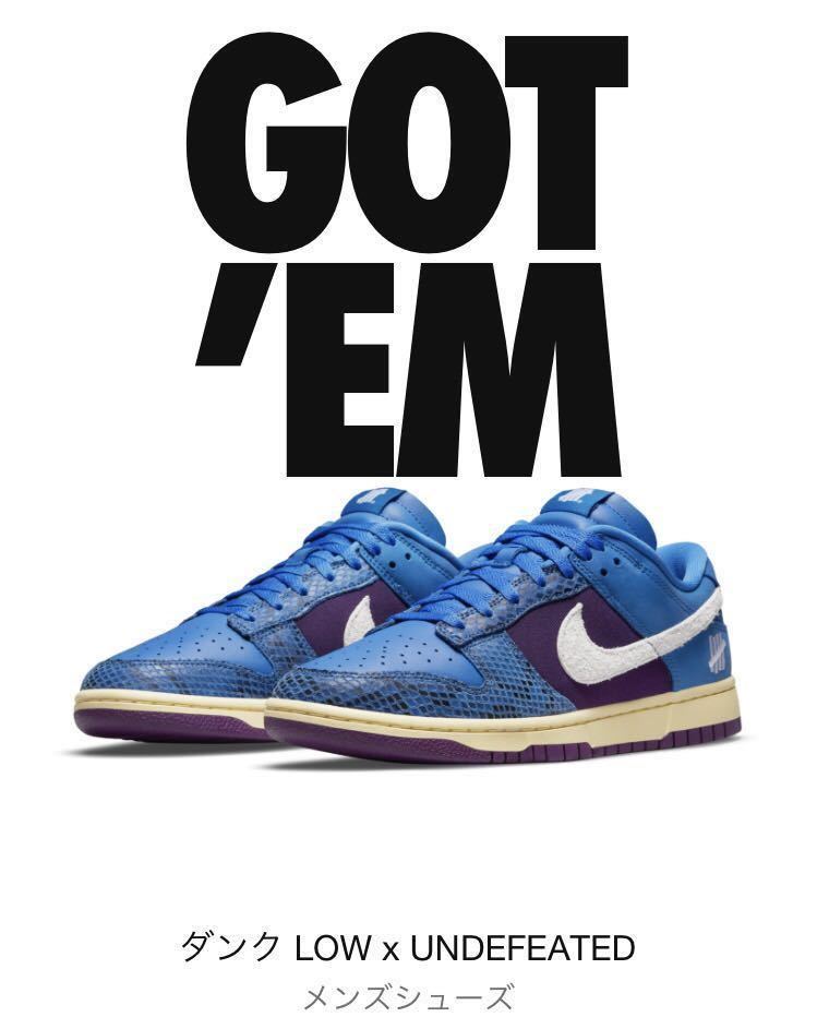 NIKE DUNK LOW 5 On It × UNDEFEATED ナイキ ダンク ロウ 28.0cm(US10) 新品・未使用品_画像1