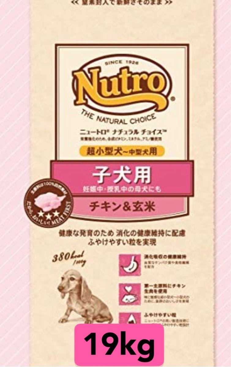 大注目】 メルカリ便無料♡⑧ニュートロ ナチュラルチョイス 子犬 ラム