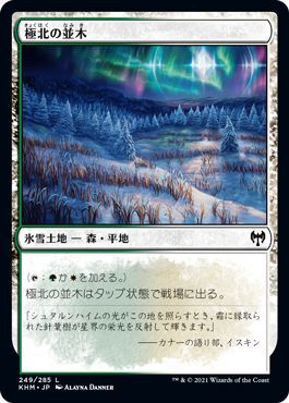 MTG 極北の並木 基本土地 マジック:ザ・ギャザリング カルドハイム KHM-249 ギャザ マジック・ザ・ギャザリング 日本語版 氷雪土地 土地_《MTG》極北の並木【基本土地】