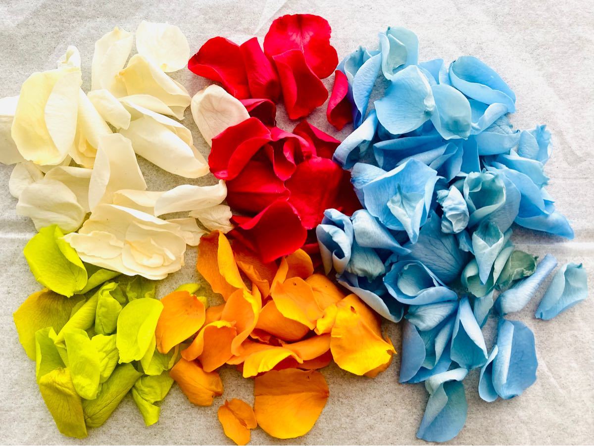 Paypayフリマ ミニ薔薇 5色 花びらのみ ローズ プリザーブドフラワー ハーバリウム ハンドメイド Paypayフリマ ミニ薔薇 5色 花びらのみ ローズ プリザーブドフラワー ハーバリウム ハンドメイド