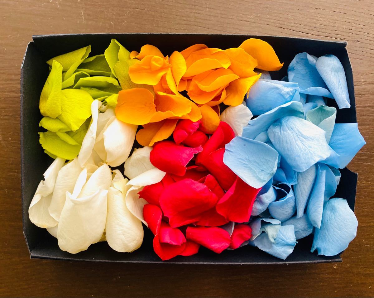 Paypayフリマ ミニ薔薇 5色 花びらのみ ローズ プリザーブドフラワー ハーバリウム ハンドメイド Paypayフリマ ミニ薔薇 5色 花びらのみ ローズ プリザーブドフラワー ハーバリウム ハンドメイド