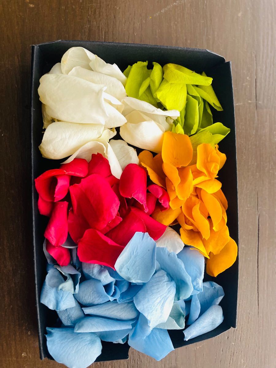 Paypayフリマ ミニ薔薇 5色 花びらのみ ローズ プリザーブドフラワー ハーバリウム ハンドメイド Paypayフリマ ミニ薔薇 5色 花びらのみ ローズ プリザーブドフラワー ハーバリウム ハンドメイド