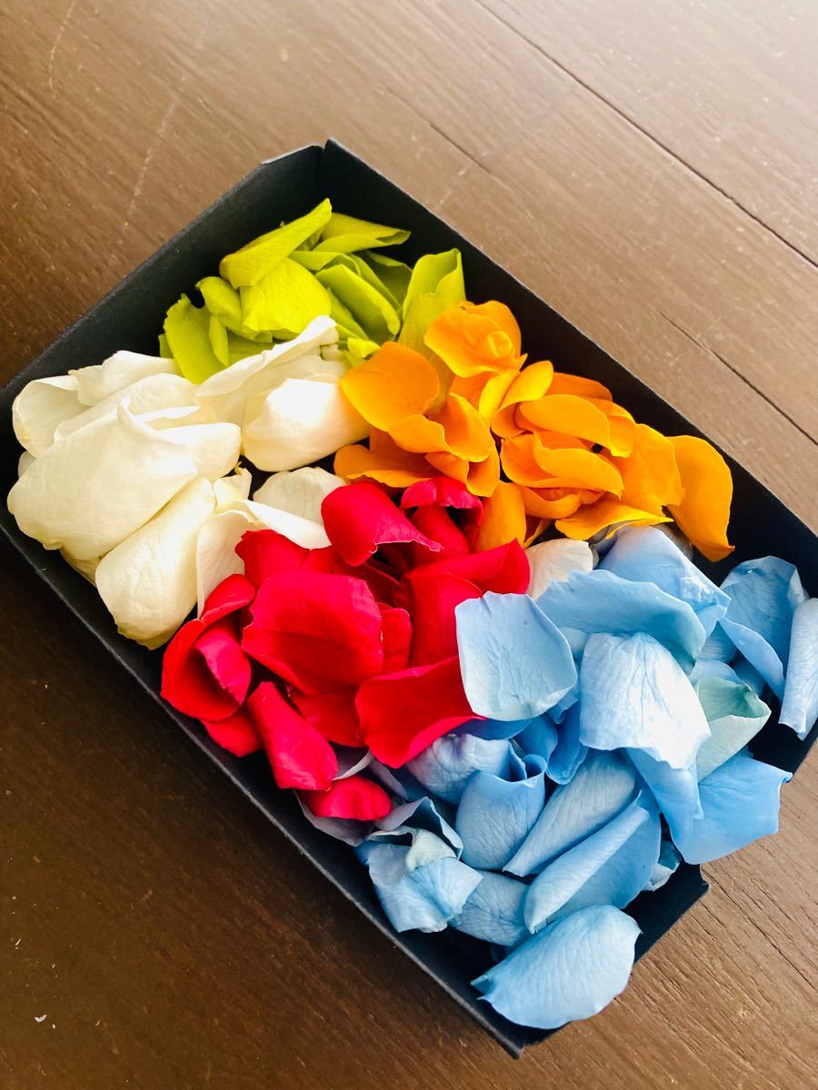 Paypayフリマ ミニ薔薇 5色 花びらのみ ローズ プリザーブドフラワー ハーバリウム ハンドメイド Paypayフリマ ミニ薔薇 5色 花びらのみ ローズ プリザーブドフラワー ハーバリウム ハンドメイド