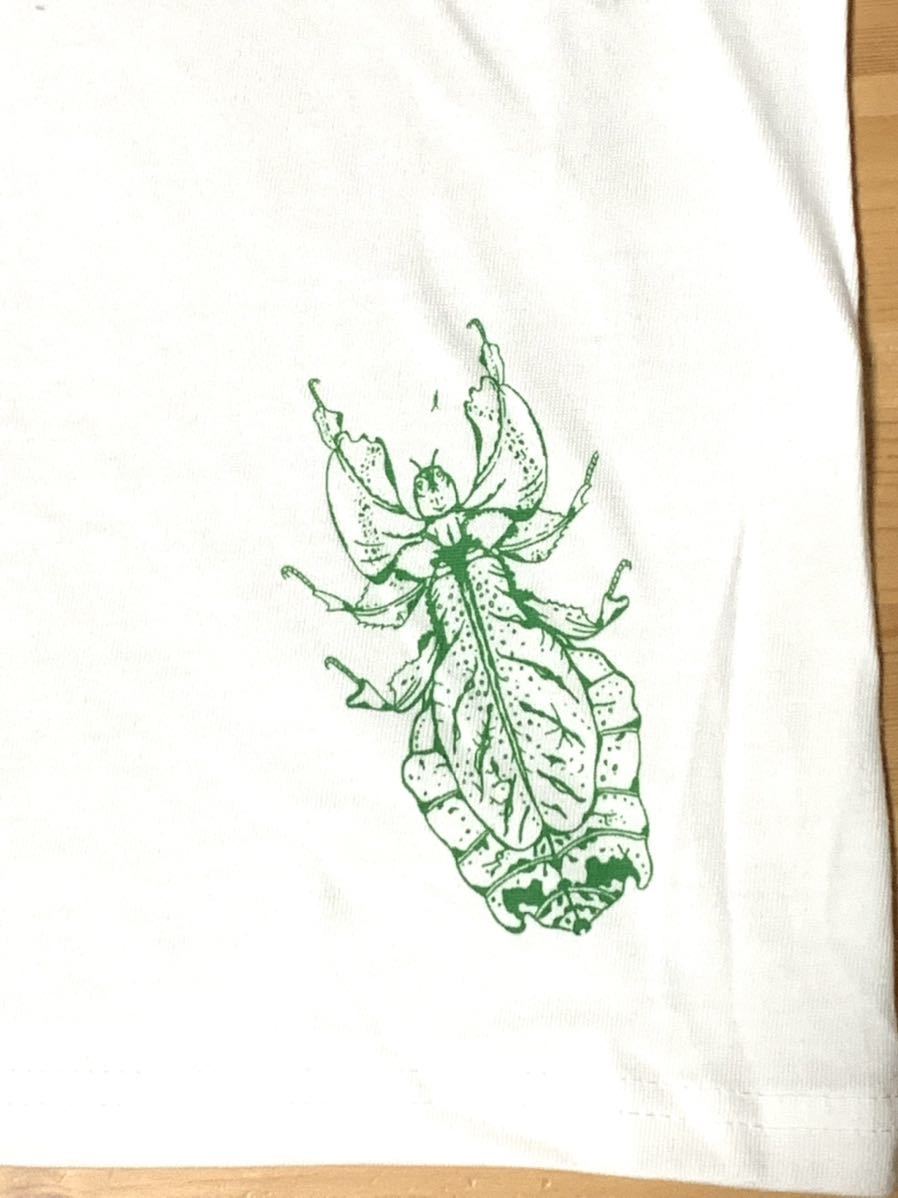 Nの足　半袖Tシャツ　Mサイズ aroundaglobe ユウレイヒレアシナナフシ　オオコノハムシ　昆虫　インセクト　insect t-shirt_画像4