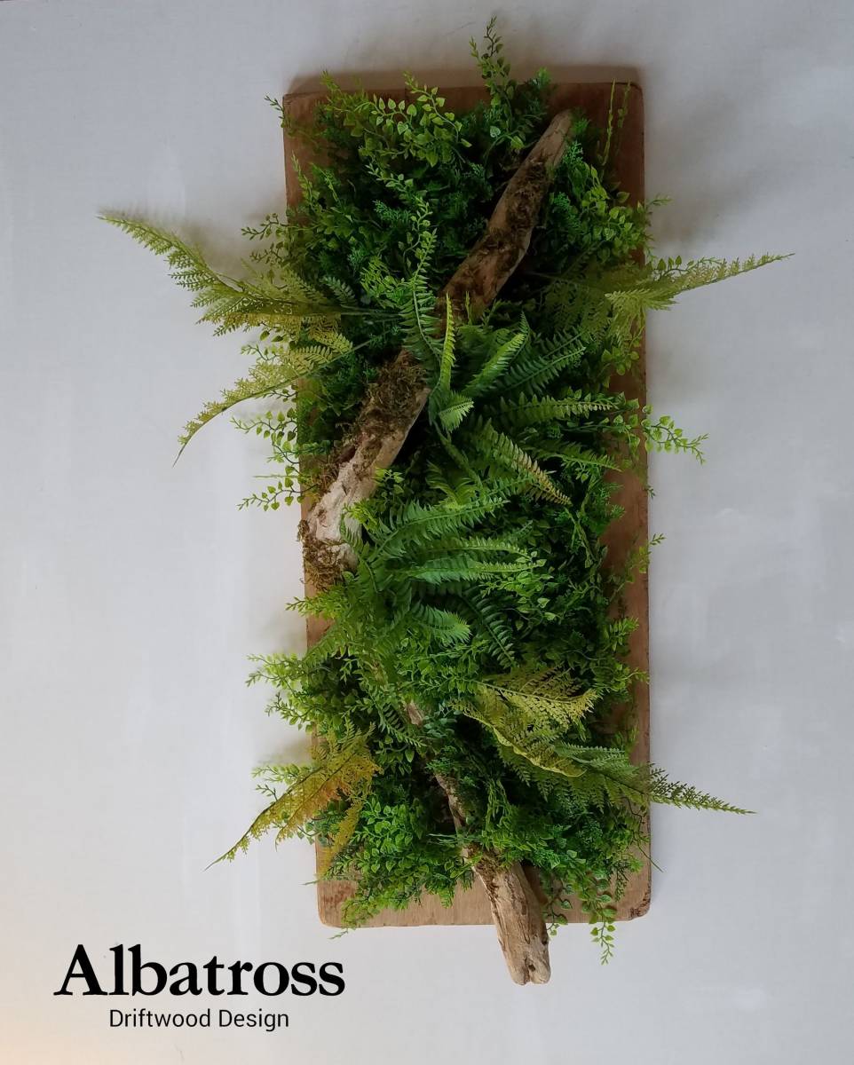送料込 税込 流木 約80×33cm 流木枠 縦にも横にも飾れる フェイクグリーン ウォールグリーン 壁面緑化 インテリア シダ 植物 苔 _画像1