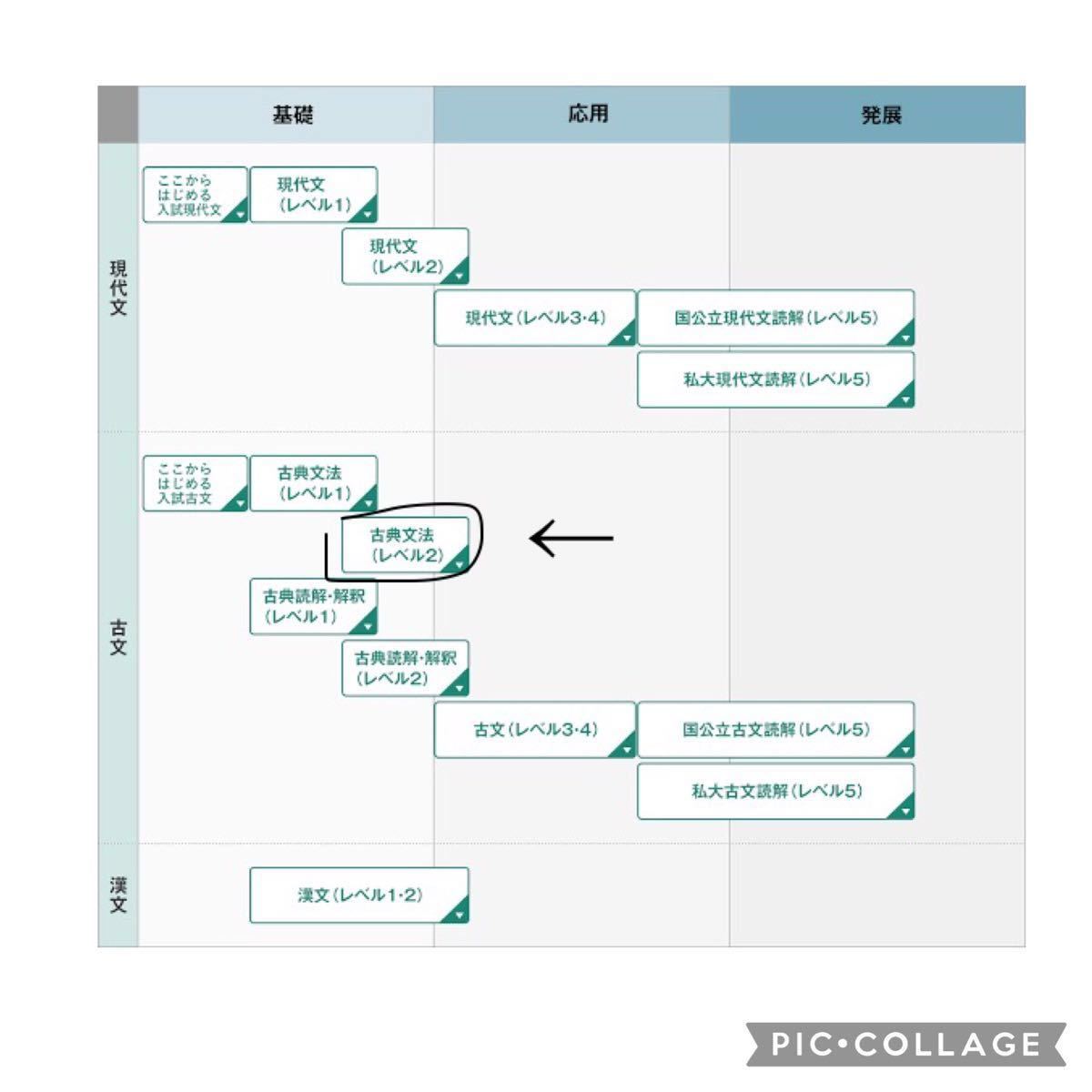 河合塾 テキスト 古典 文法 基礎 大学 受験 入試 私大 私立大 共通テスト 基本 高校 国公立 問題集 高3 入試 応用 古文